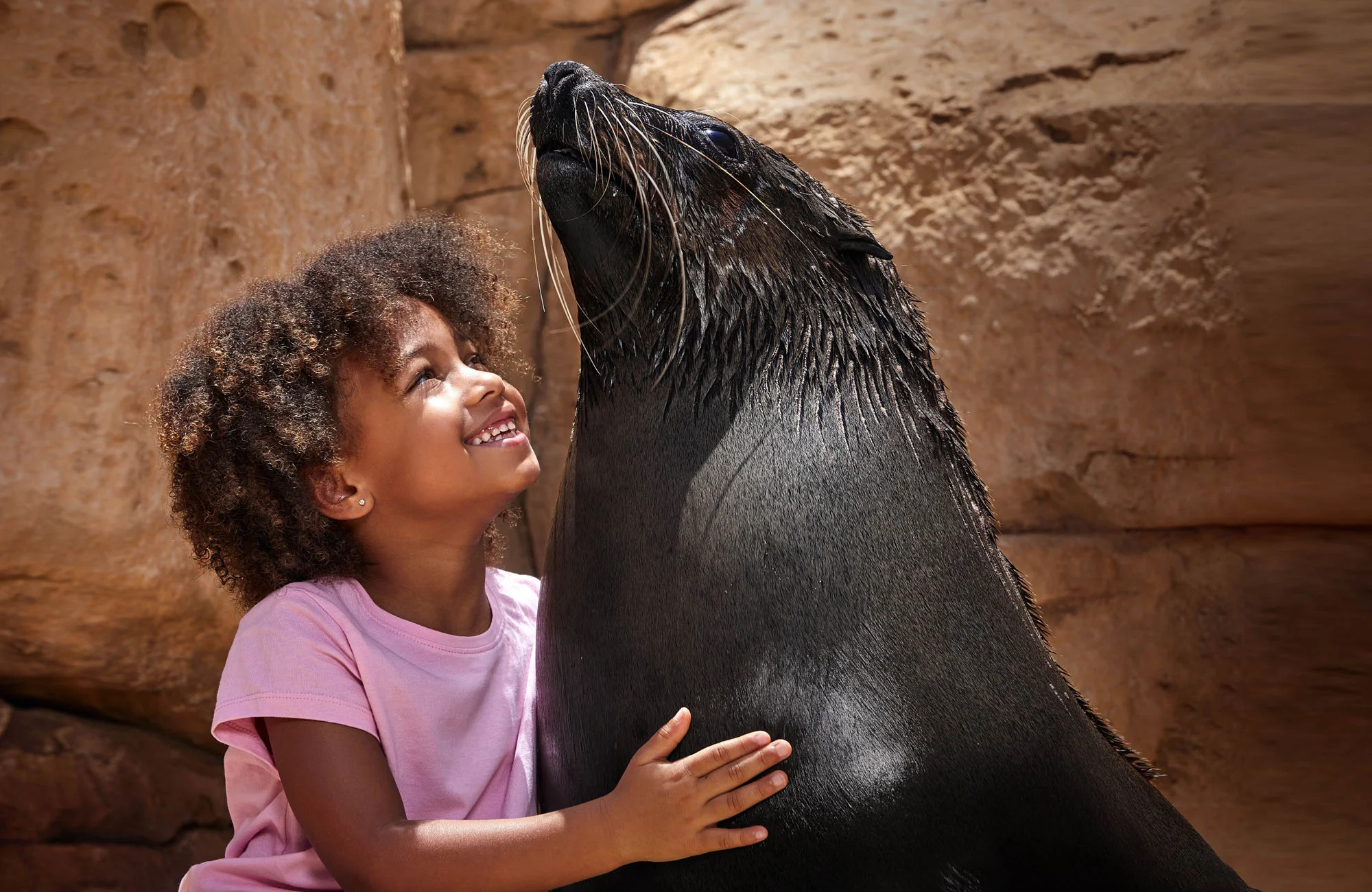 Sea Lion Point Atlantis The Palm 5*