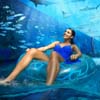 Aquaventure Waterpark Atlantis The Palm 5*