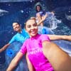 Aquaventure Waterpark Atlantis The Palm 5*