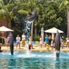 Dolphin Bay Atlantis The Palm 5*