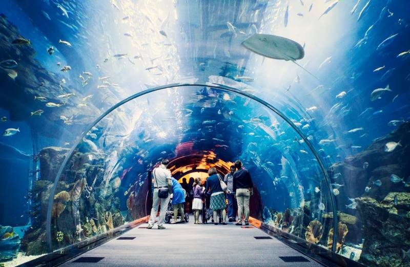 Aquarium, The Dubai Mall, Spojené Arabské Emiráty