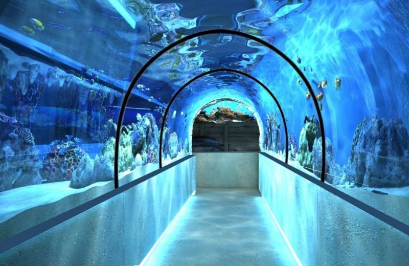 Atrakcia Sharjah Aquarium, Spojené Arabské Emiráty